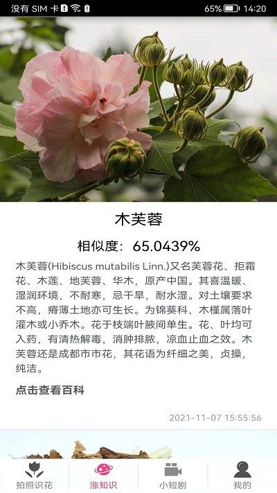 拍照识花神器app下载,拍照识花神器,拍照app,摄影app,识别app