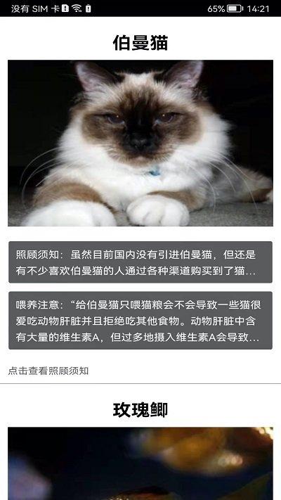 拍照识花神器app下载,拍照识花神器,拍照app,摄影app,识别app